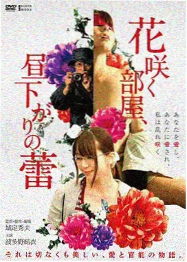 电影午夜放映室剧照